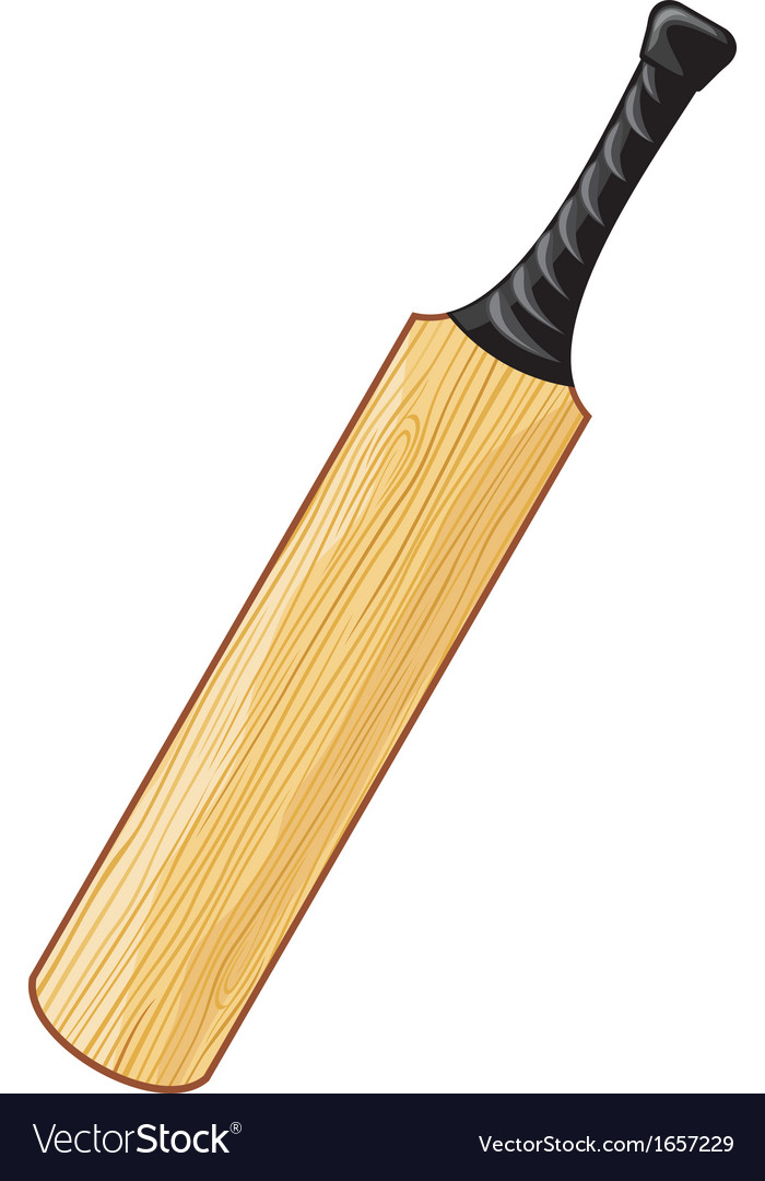 2019 year - How to Choose a Cricket Bat 2019 year