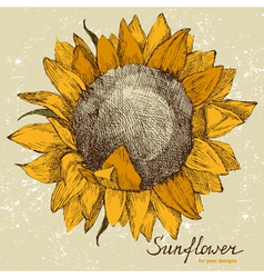 Download Artistic & Experimental Vector Images - Royalty-Free Vectors