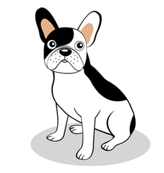 buldog francuski franse frans ilustracja stockvectors rechtenvrije