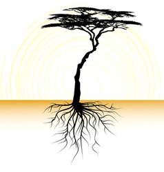 Floral & Decorative Vector Art - Royalty-Free Vectors