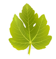 Organic symbol in green color vector by dramaj Image 3238431