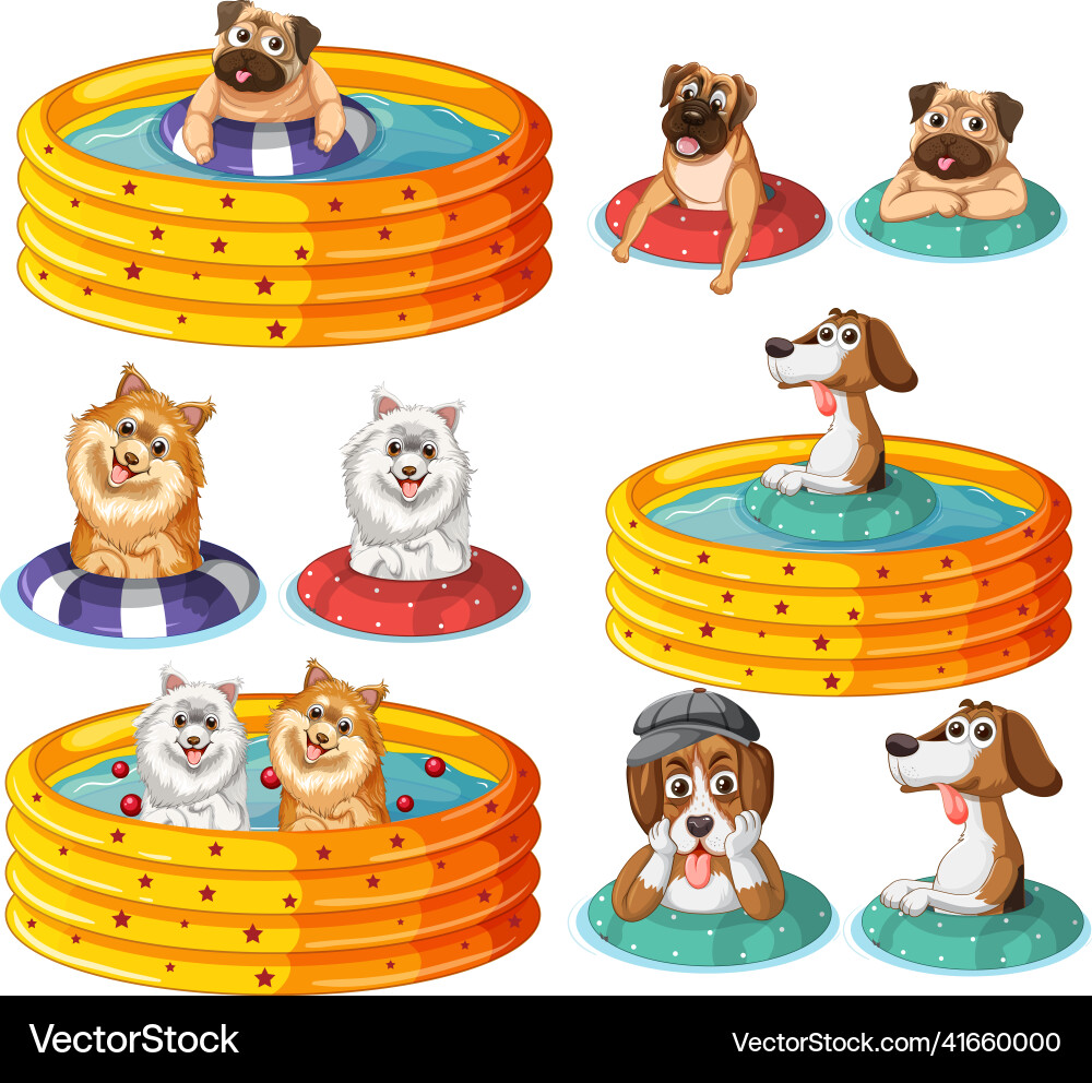 Set of dogs in yellow pool Set of dogs in yellow pool vector image
