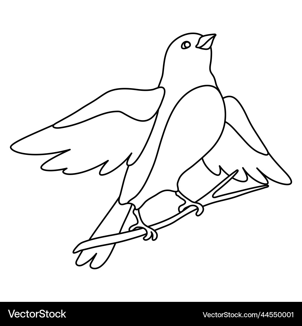 Colorful Bird Illustration - illustration.app, image size:1000x1080