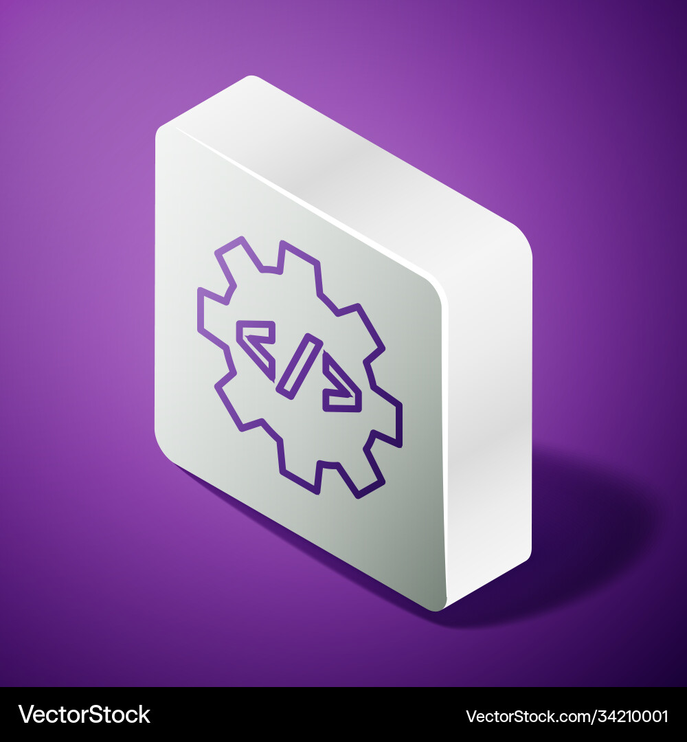 Isometric line web design and front end Isometric line web design and front end vector image