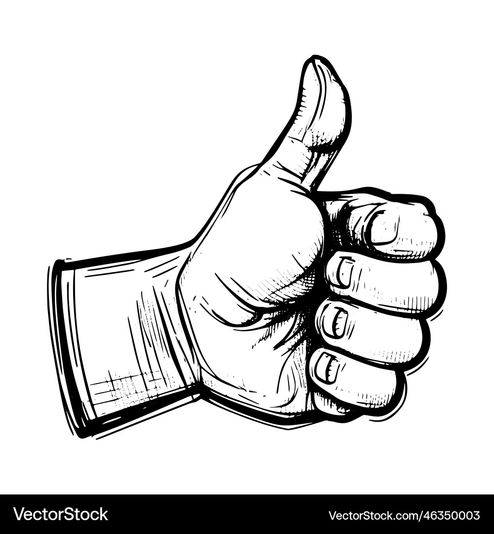 A realistic hand-drawn sketch of thumbs-up sign A realistic hand-drawn sketch of thumbs-up sign Vector Image