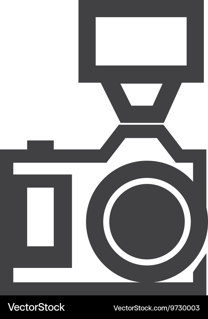 Camera with flash icon gadget design vector image