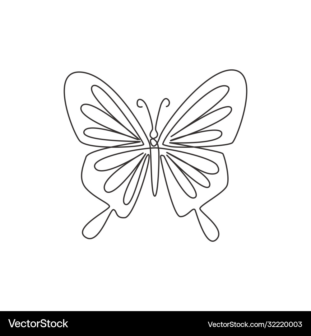 Elegant Continuous Line Butterfly vector image