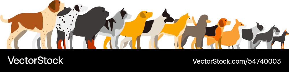 Set of dog breeds standing in a line side view Set of dog breeds standing in a line side view vector image