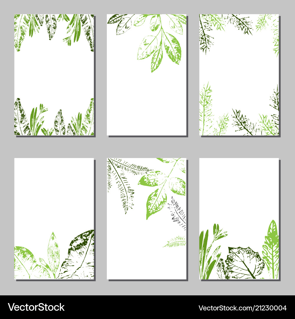 Collection of template label visit cards Collection of template label visit cards vector image