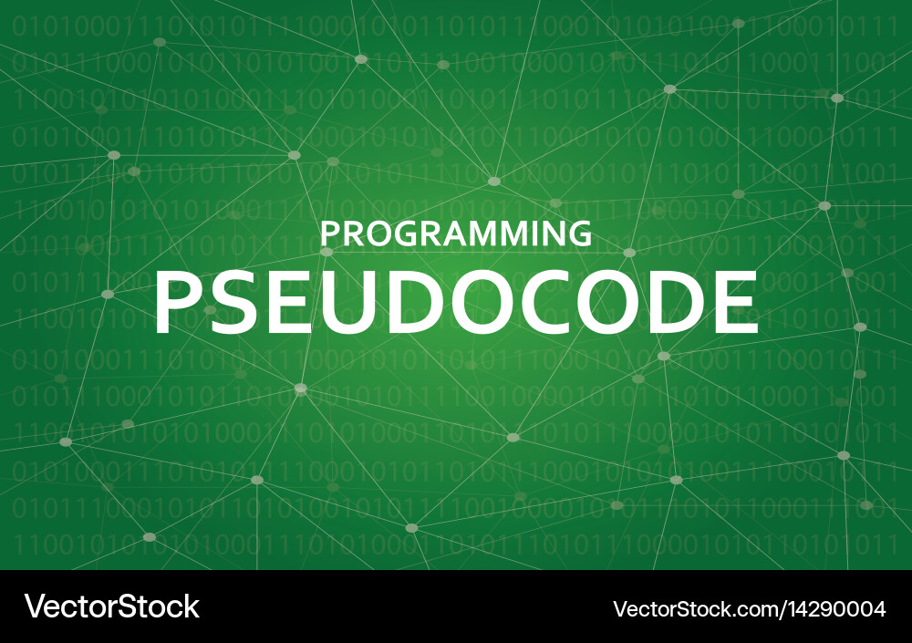 Programming pseudocode concept white vector image