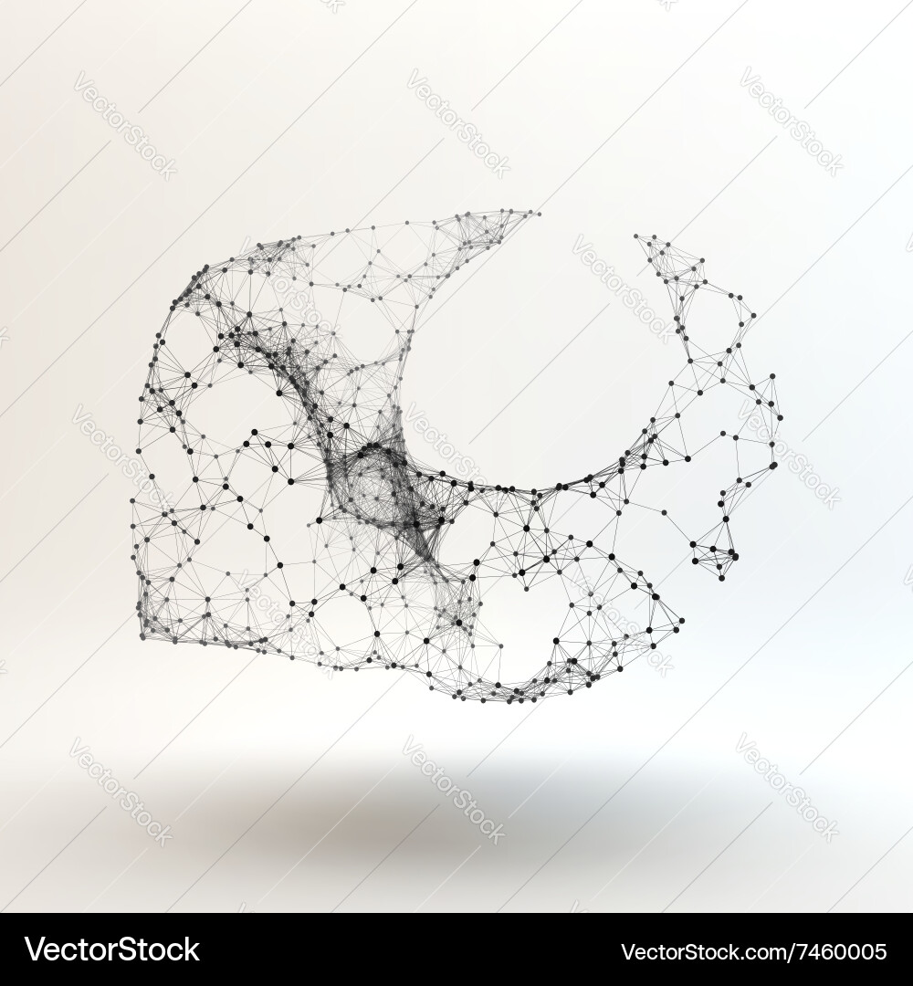 Connection structure wireframe vector image