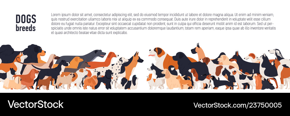 Dog Breed Background - Banner vector image