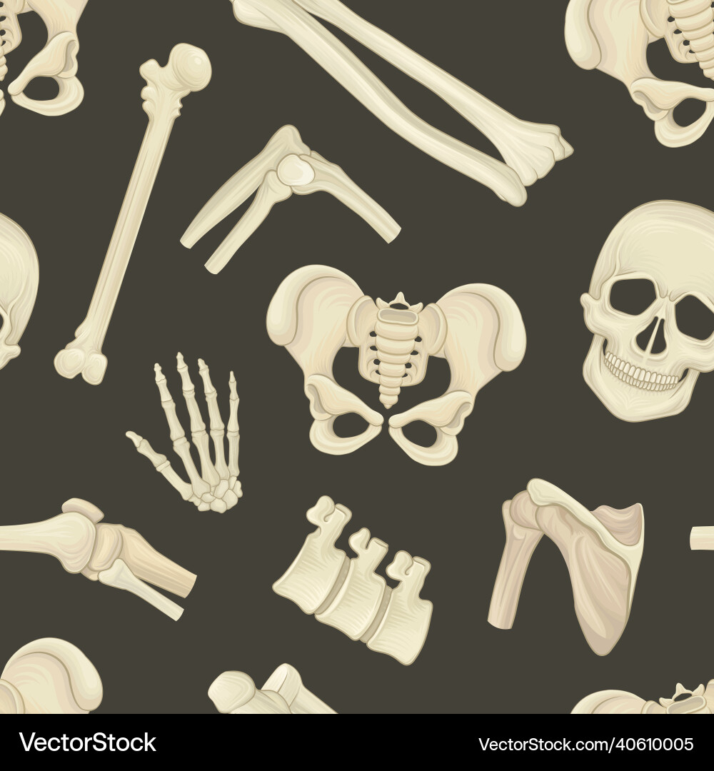 Human bones seamless pattern orthopedics Human bones seamless pattern orthopedics vector image