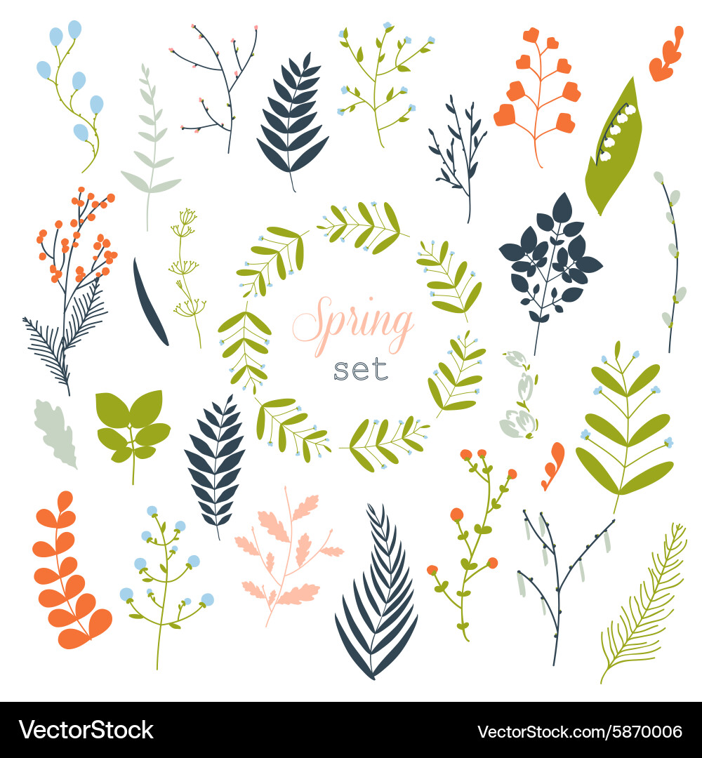 Collection of spring flowers leaves dandelion Vector Image