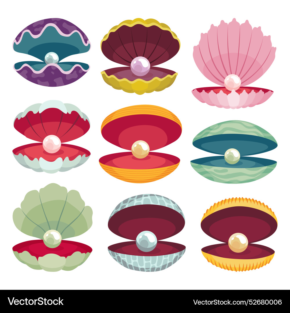 Pearls in seashell open scallop Vector Image