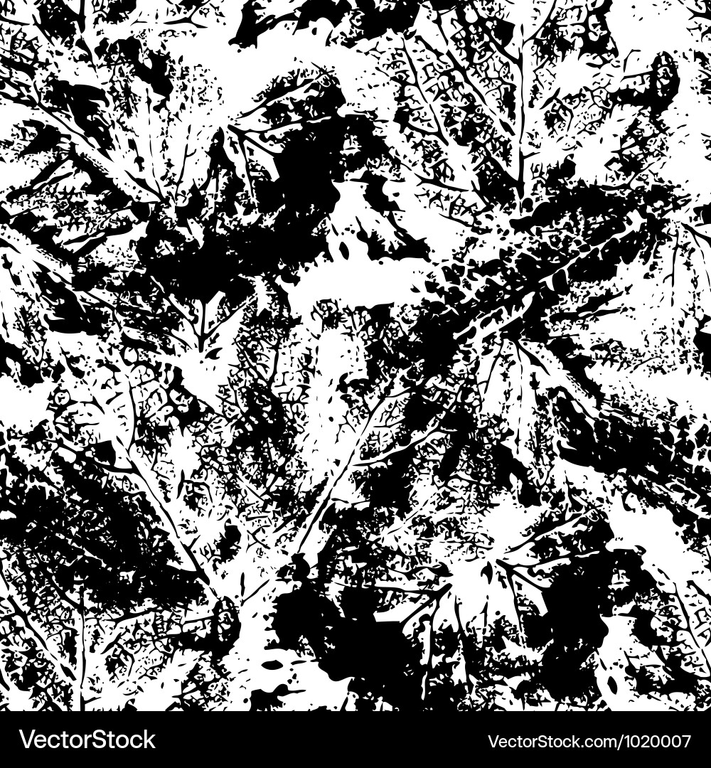 Black and White Leaf Pattern Vector Image