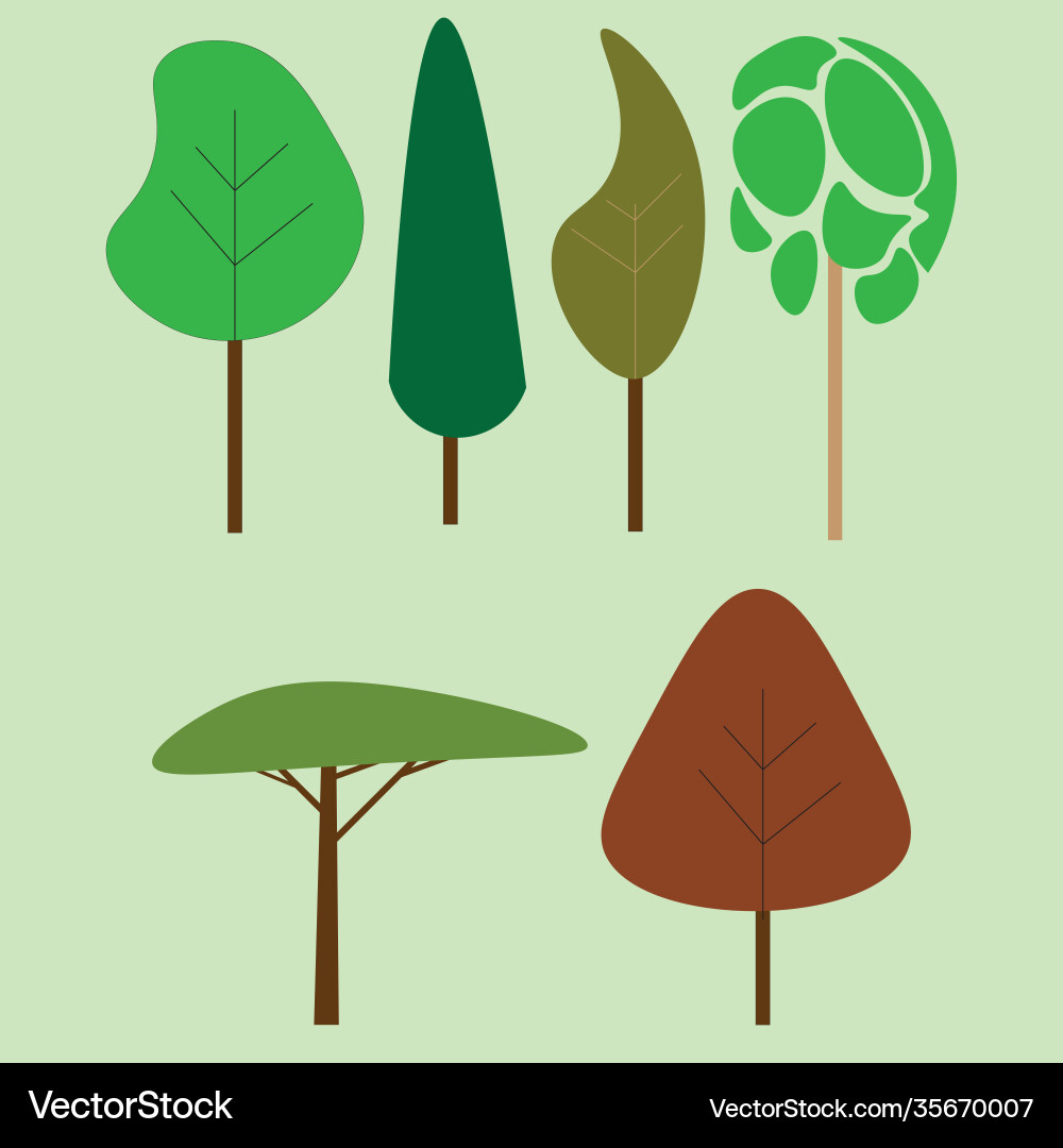 Different trees in color Different trees in color Vector Image