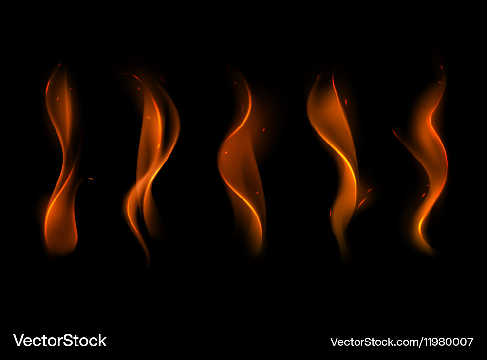 Set of different yellow orange fire flame Vector Image