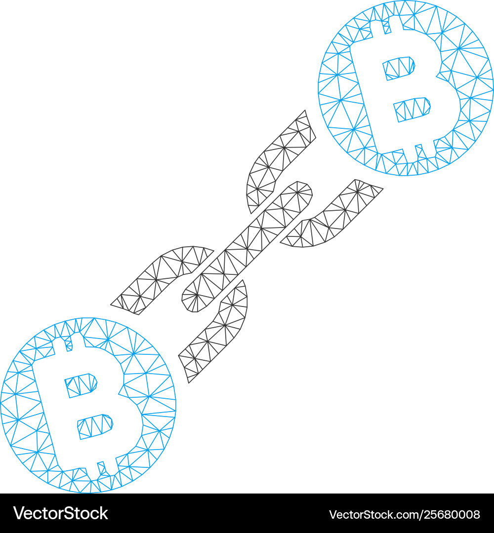 Bitcoin blockchain mesh wire frame model Bitcoin blockchain mesh wire frame model vector image
