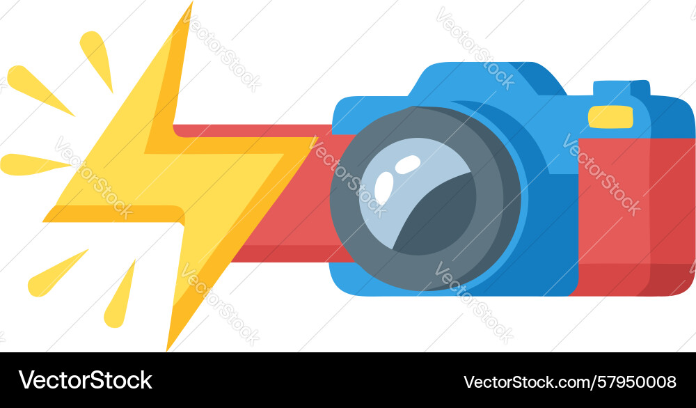 Dynamic Camera Flash Icon Vector Image