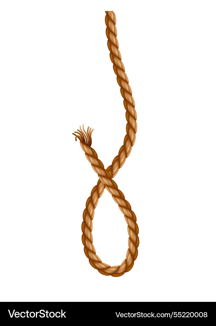 Hanging rope with tassel knitted nautical thread Hanging rope with tassel knitted nautical thread vector image