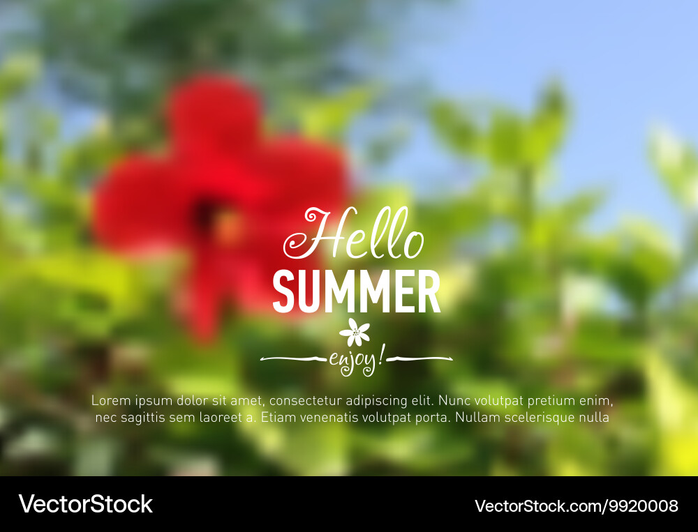 Nature flower blurred background with design text vector image