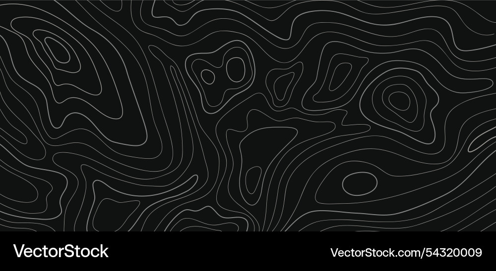 Abstract pattern with swirls panorama view Vector Image