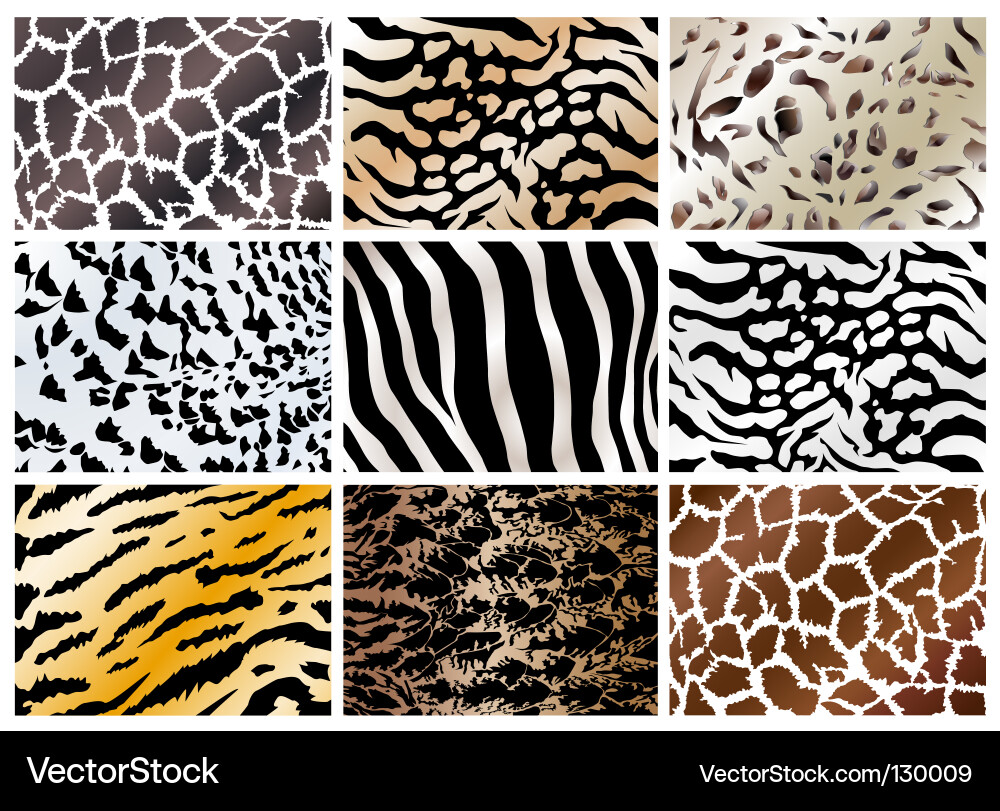 Animal Skin Patterns Royalty Free Vector Image