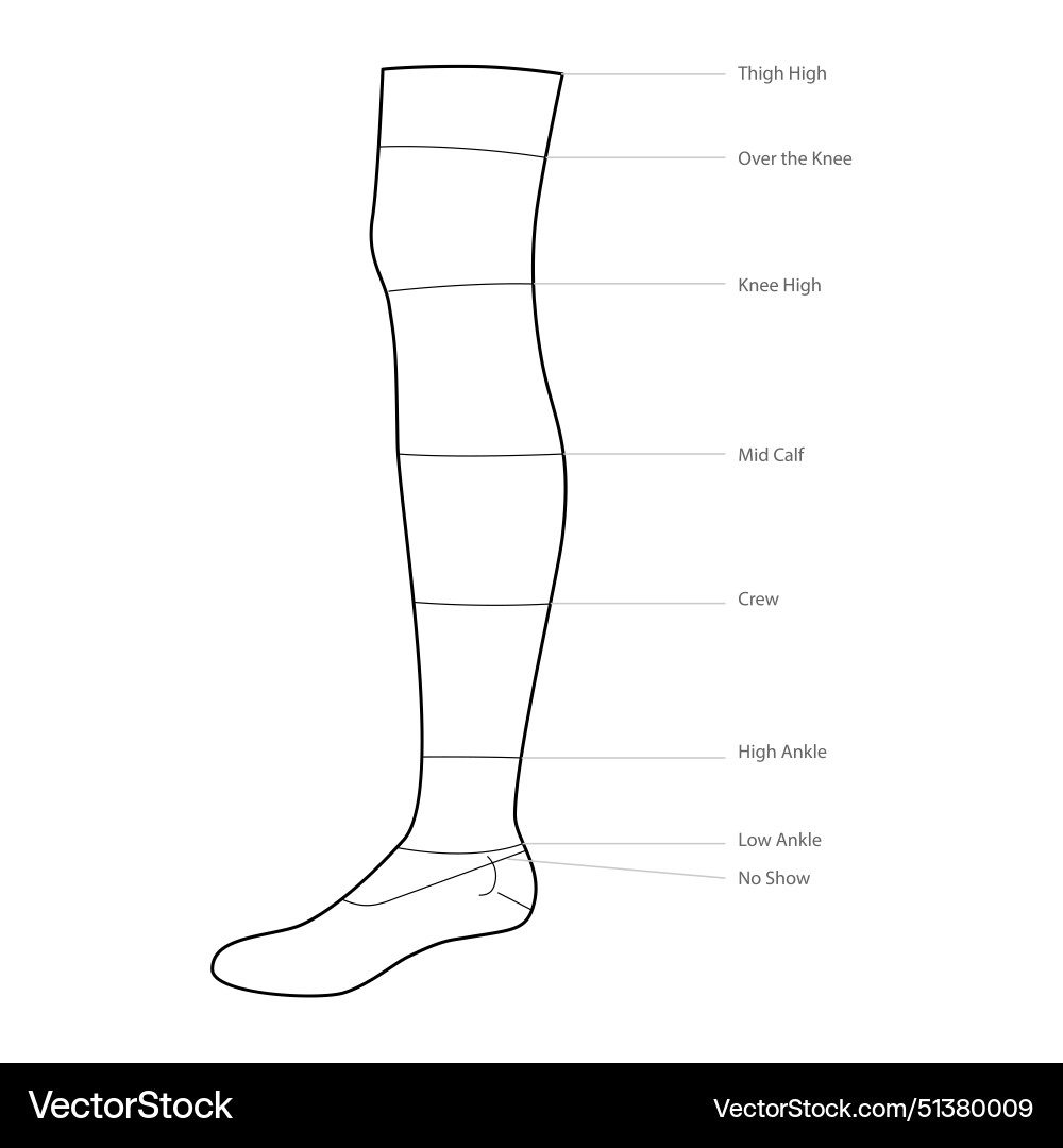 Diagrams of sock length with text names hosiery Diagrams of sock length with text names hosiery Vector Image