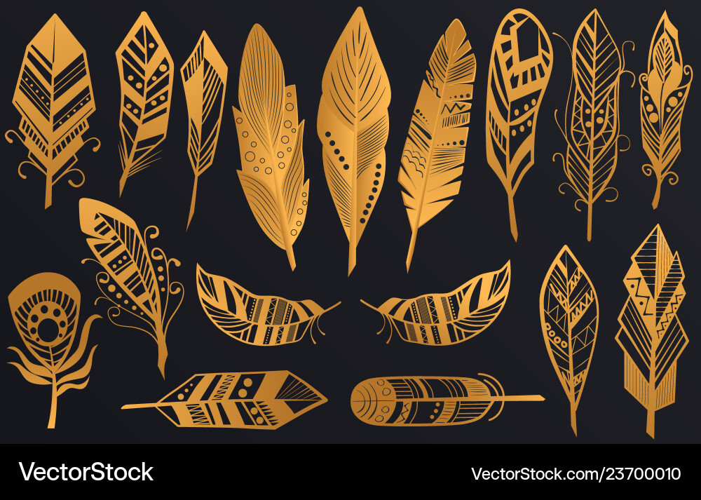Golden Tribal Feather Set Vector Image