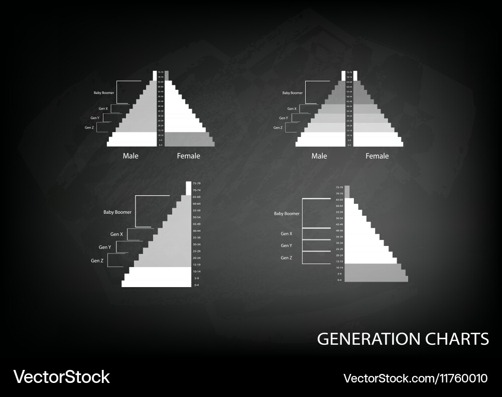 Population pyramids graphs with 4 generation Vector Image
