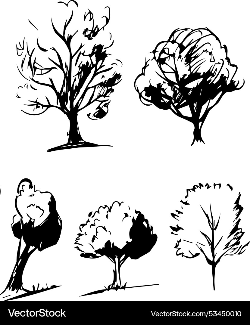 Set trees vector image