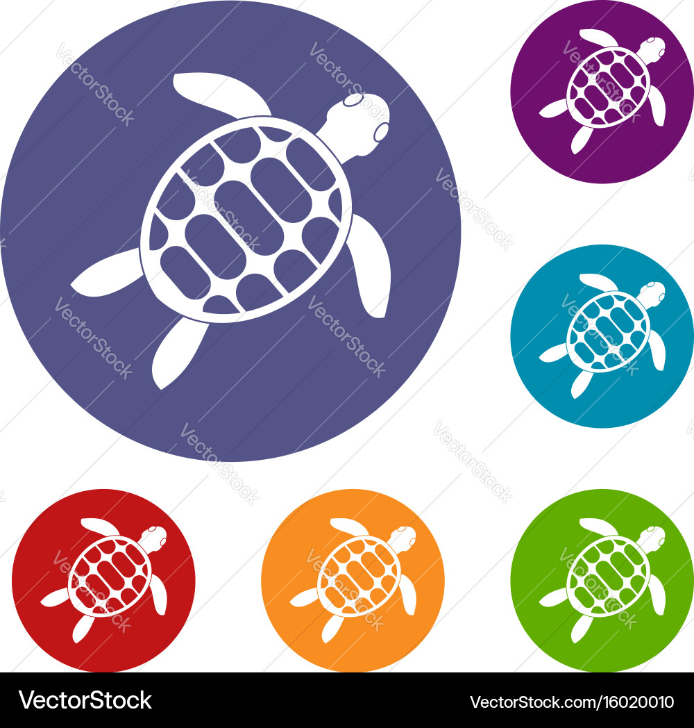 Turtle icons set vector image
