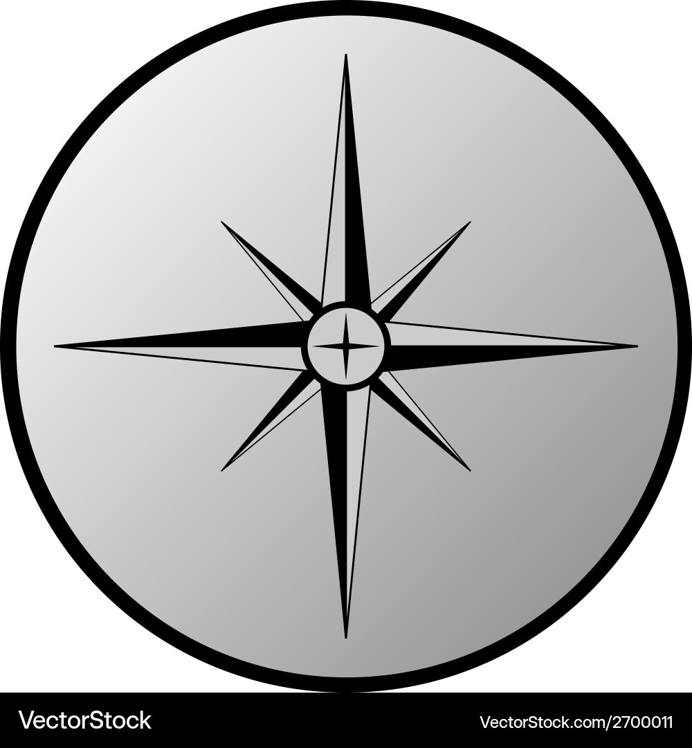 Compass button Vector Image