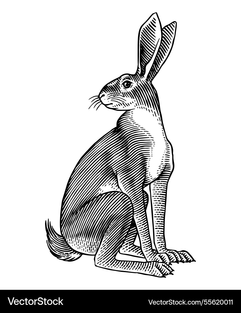 Hasen oder Kaninchen sitzen und springen in alten Hasen oder Kaninchen sitzen und springen in alten vektorbild