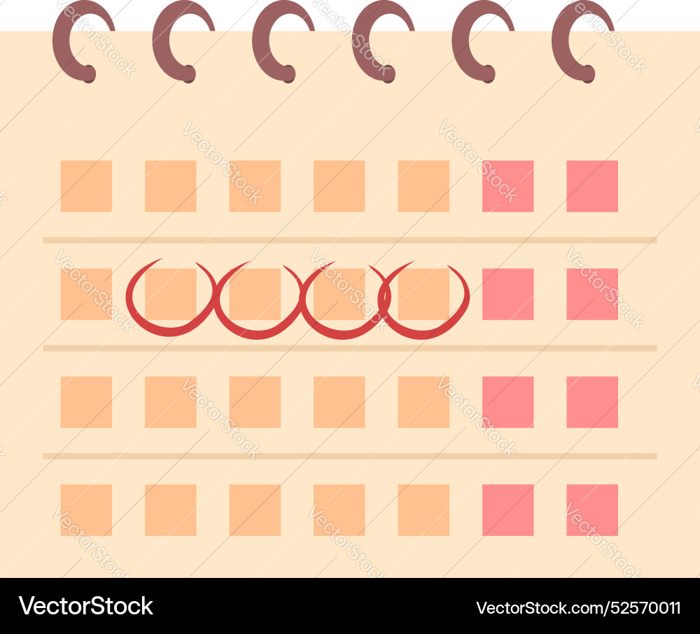 Menstrual calendar showing ovulation cycle Vector Image
