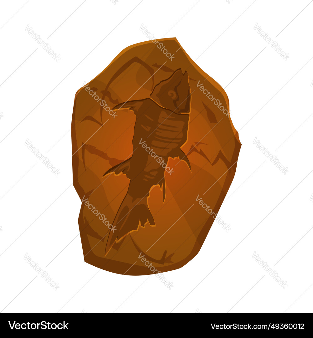 Ancient fossil fish skeleton imprint in stone vector image