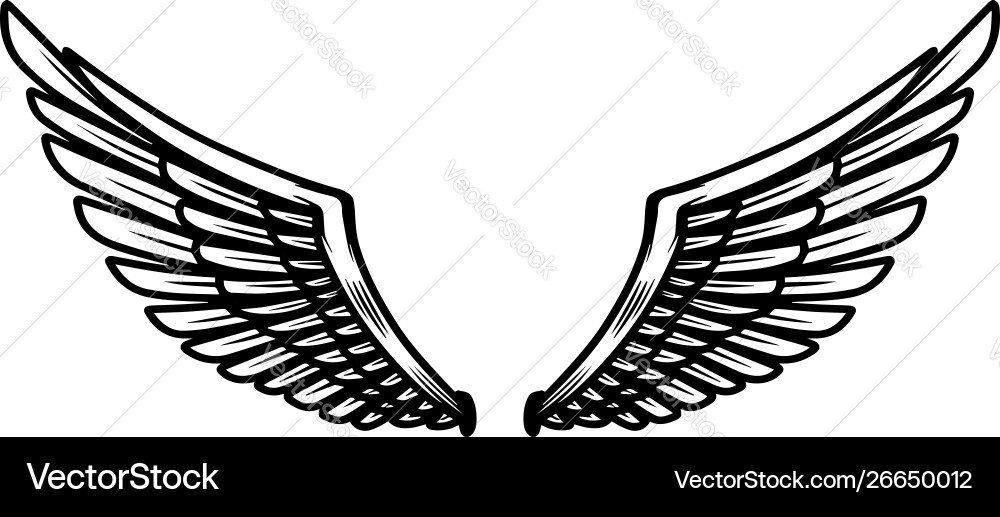 Eagle wings on light background design element Eagle wings on light background design element vector image