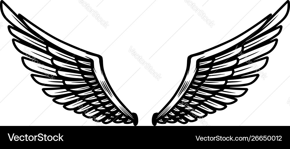 Eagle wings on light background design element vector image