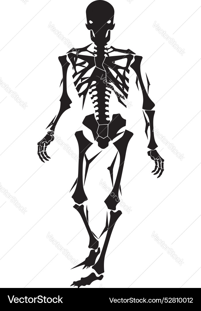 Fragmented form fractured skeleton symbol design Fragmented form fractured skeleton symbol design Vector Image