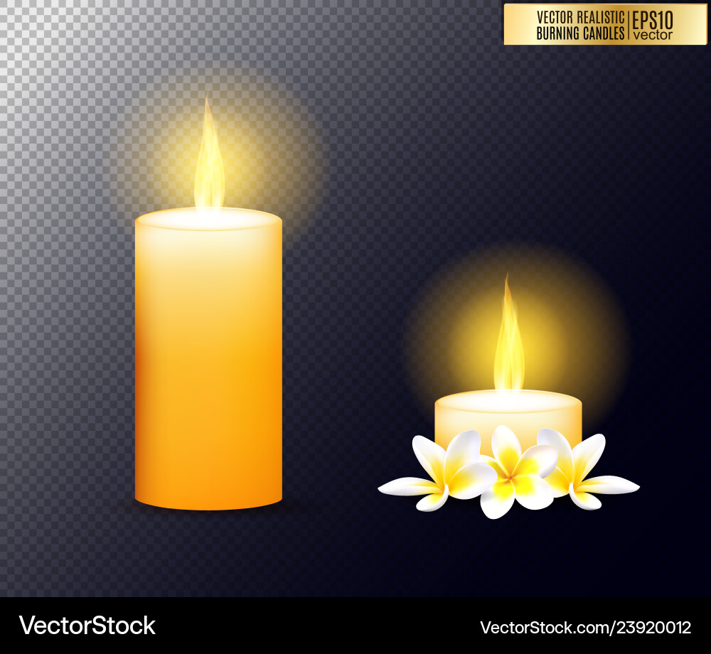 Candle Bitmap Realistic burning candle transparency grid Vector Image