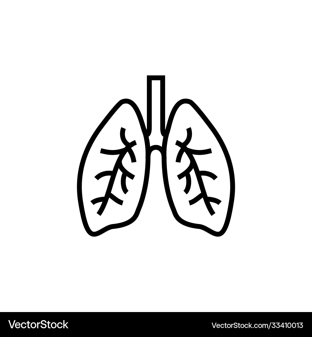 Lung human line icon respiratory system healthy Lung human line icon respiratory system healthy vector image