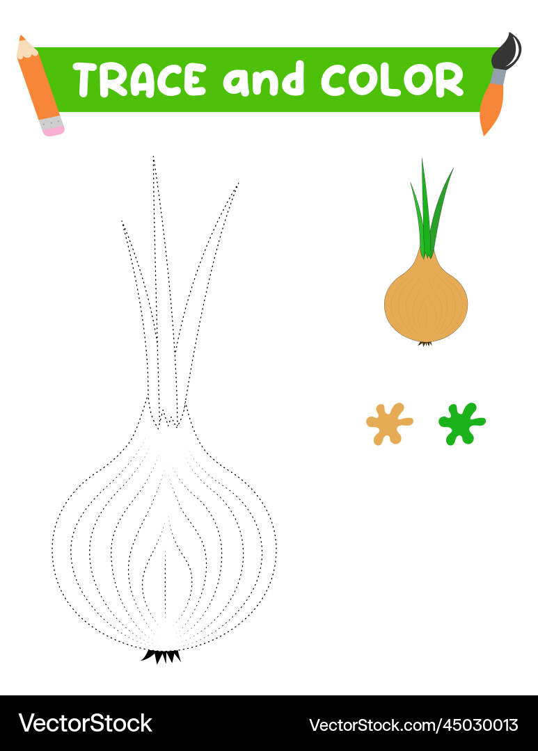 Trace and color the vegetables a training sheet – Royalty-Free Vector ...