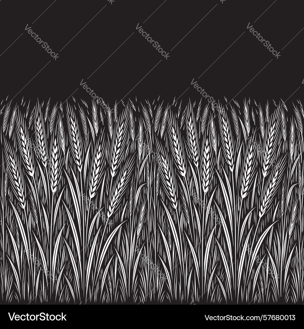 Wheat field in an engraving or linocut style Wheat field in an engraving or linocut style Vector Image