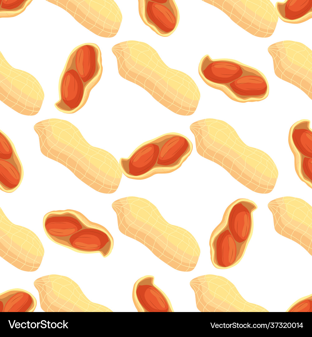 On theme big pattern identical types peanut On theme big pattern identical types peanut vector image