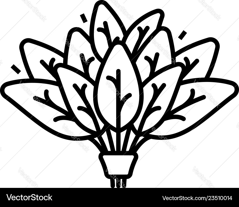 Spinach branch icon outline style Spinach branch icon outline style vector image