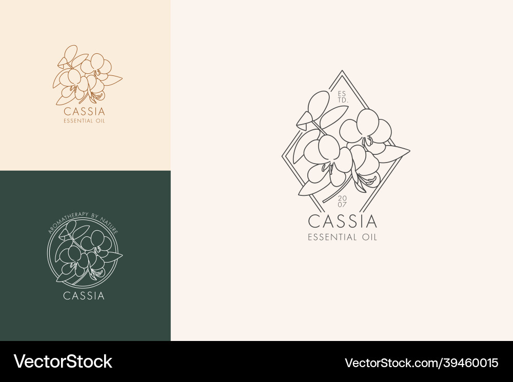 Linear set of botanical icons and symbols Linear set of botanical icons and symbols vector image