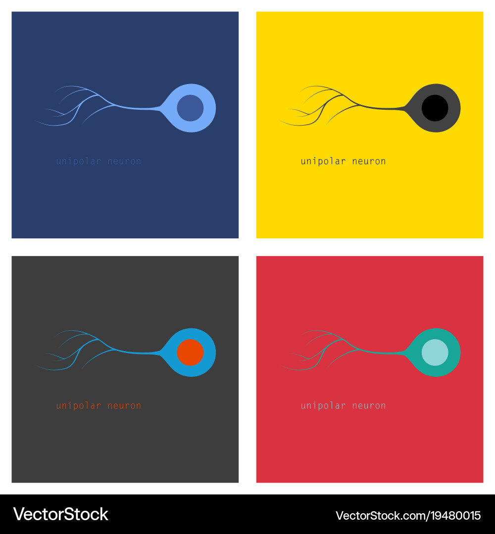 Set of basic neuron types vector image
