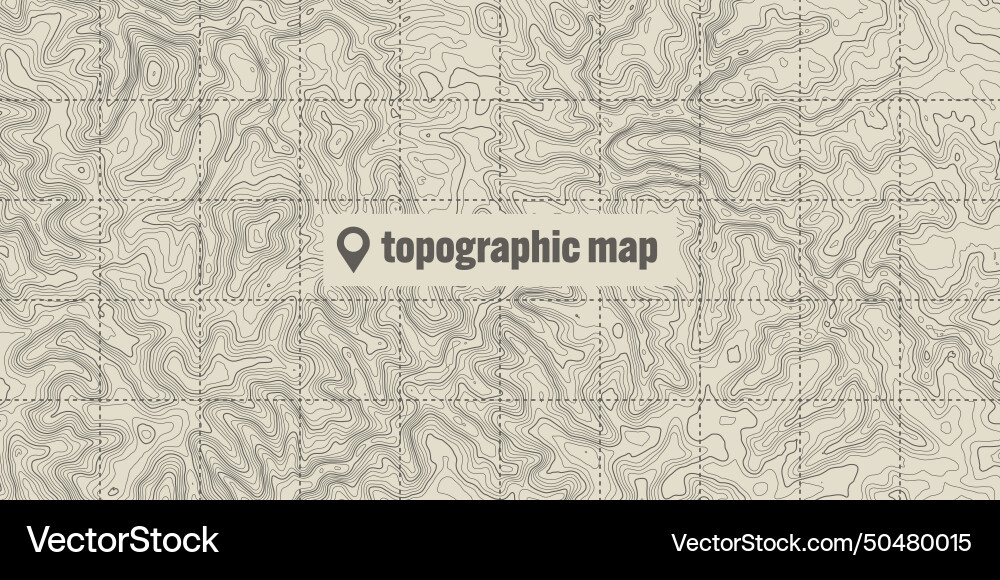 Topographic map with contour lines geographic Topographic map with contour lines geographic vector image