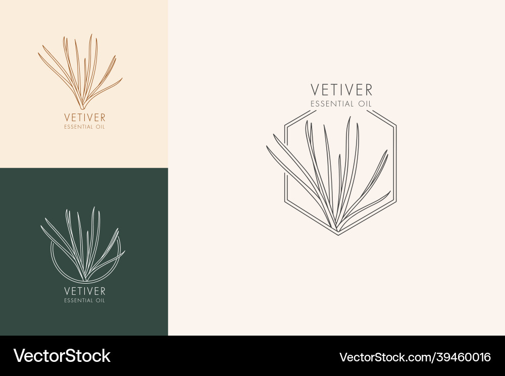 Linear botanical set of icons and symbols Linear botanical set of icons and symbols Vector Image